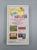 Hanjuku Hero - SFC Super Famicom (Japan)