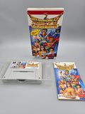 Hiryuu no Ken S Golden Fighter - SFC Super Famicom (Japan)