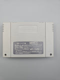 Hiryuu no Ken S Golden Fighter - SFC Super Famicom (Japan)