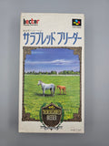 Thoroughbred Breeder - SFC Super Famicom (Japan)