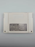 Dai Bakushou Jinsei Gekijou Ooedo Nikki SFC SNES Japan OVP Anleitung - Ersatzteile von Retrohahn für Gameboy Modding
