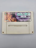 Nobunaga no Yabou Haouden SFC SNES Japan Import OVP Anleitung Koei - Ersatzteile von Retrohahn für Gameboy Modding