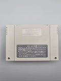 Ranma 1/2 Chounai Gekitou Hen SFC SNES Japan Box Modul Inlay Fighting - Ersatzteile von Retrohahn für Gameboy Modding