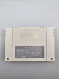 Seiken Densetsu 2 SFC SNES Japan Box Modul Inlay Secret of Mana RPG - Ersatzteile von Retrohahn für Gameboy Modding