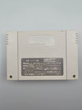 Super Donkey Kong - SFC SNES Japan Import OVP Nintendo Rare 1 - Ersatzteile von Retrohahn für Gameboy Modding
