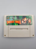 Super Donkey Kong - SFC SNES Japan Import OVP Nintendo Rare 1 - Ersatzteile von Retrohahn für Gameboy Modding